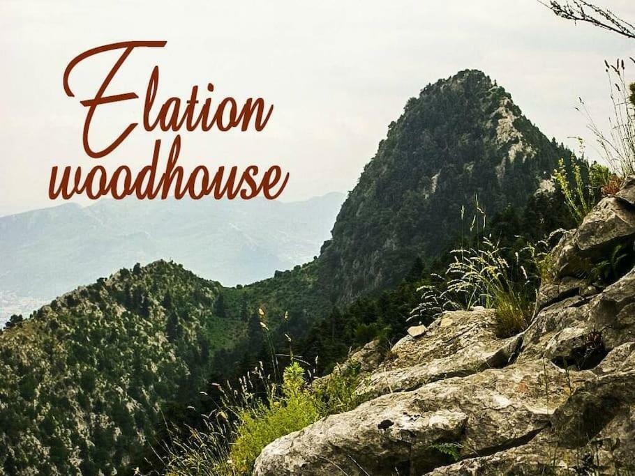 شقة Elation Woodhouse المظهر الخارجي الصورة